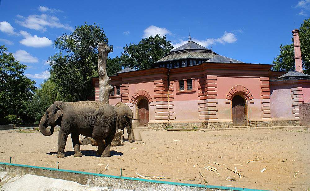  Wrocławskie_ZOO_Wybieg_słoni_fot_BMaliszewska.jpg