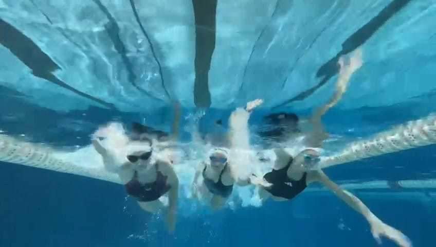  delfin-travel.pl (2).jpeg