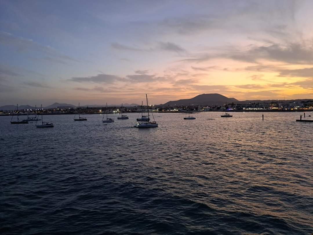  delfin-travel (3).jpeg