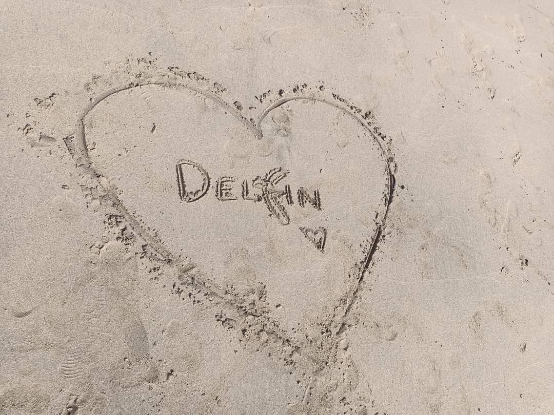  delfin-travel (4).jpeg