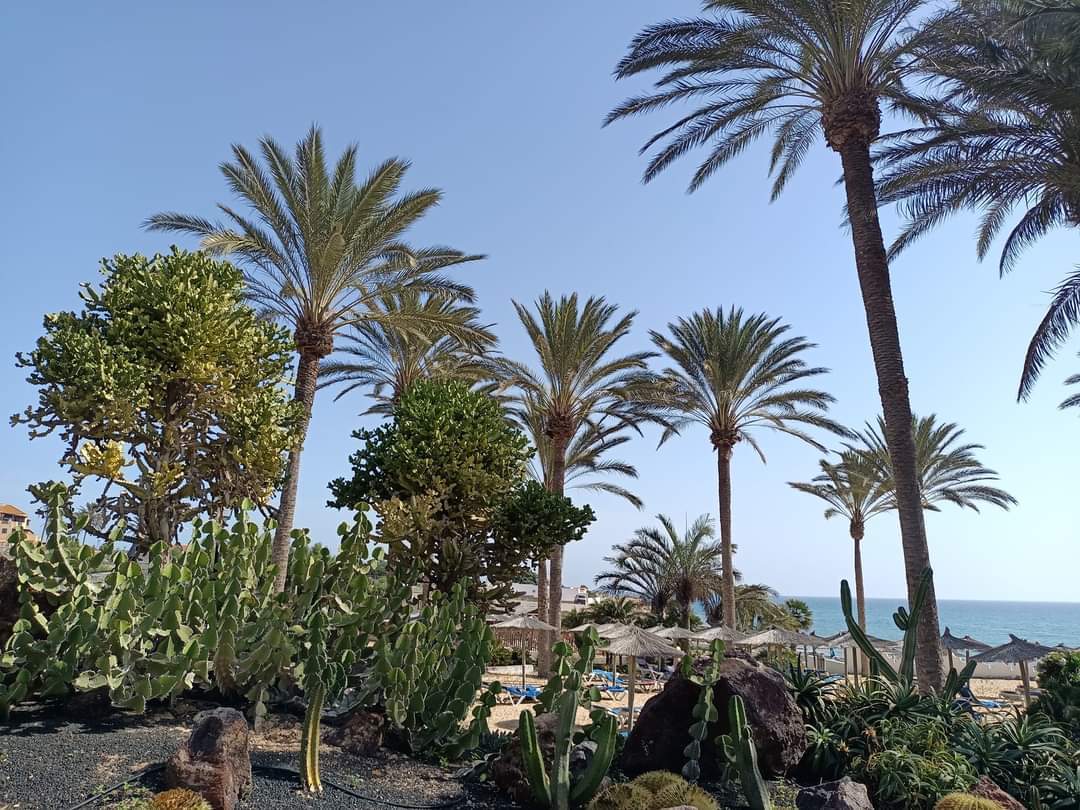  delfin-travel (5).jpeg