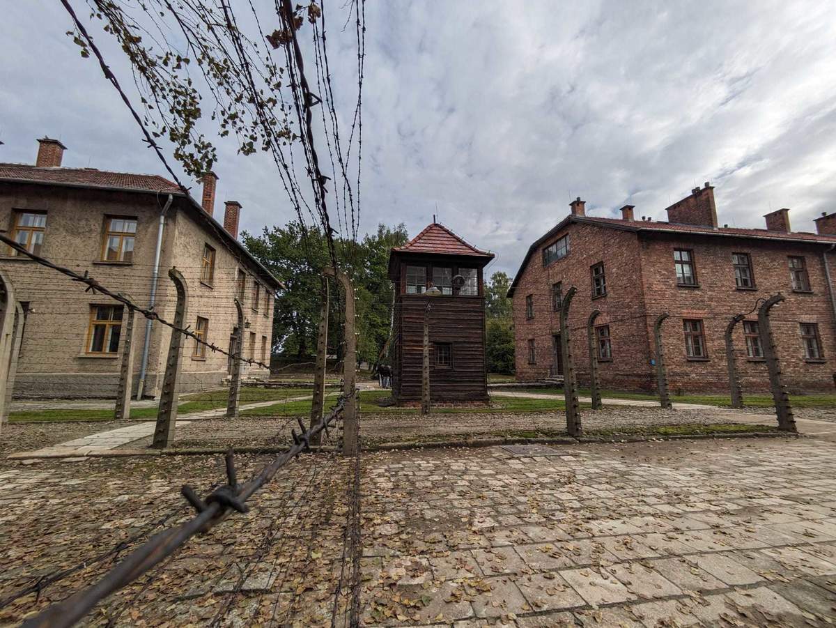  delfin-travel.pl atrakcja (1).jpeg