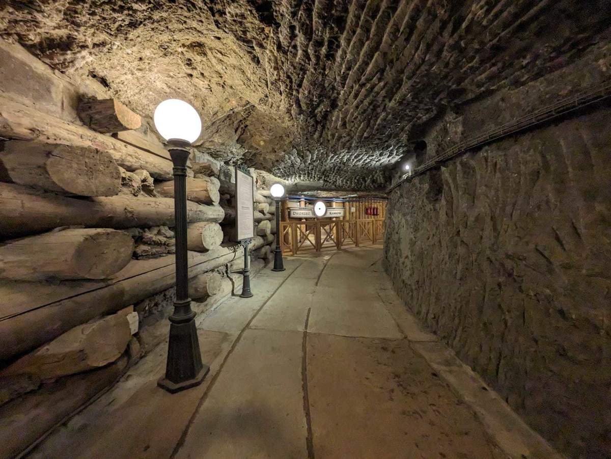  delfin-travel.pl atrakcja (7).jpeg