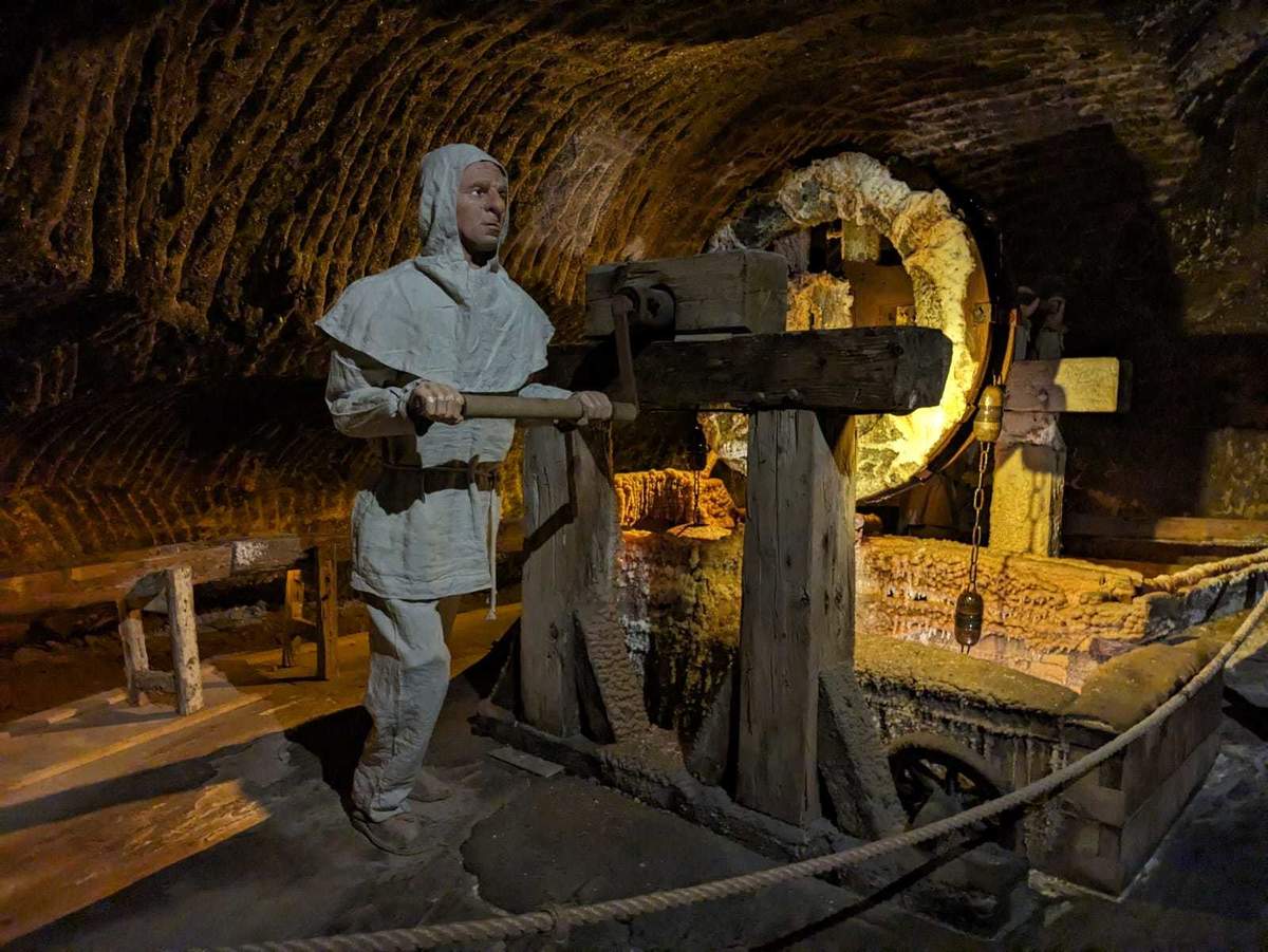  delfin-travel.pl atrakcja (9).jpeg