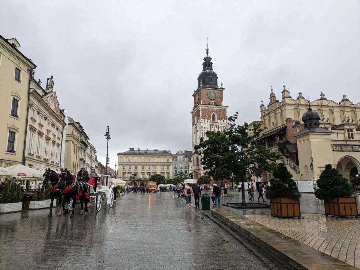  delfin-travel.pl atrakcja (6).jpeg