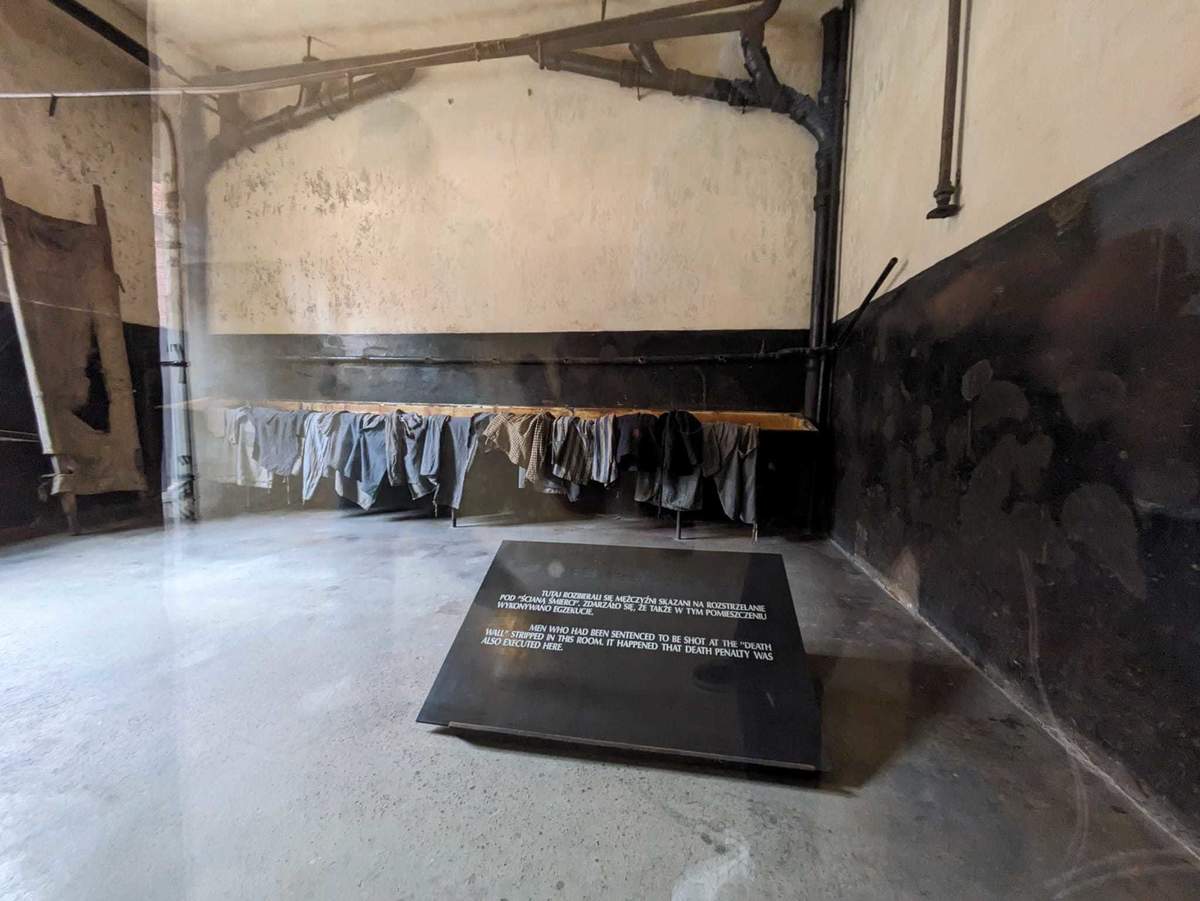  delfin-travel.pl atrakcja (2).jpeg